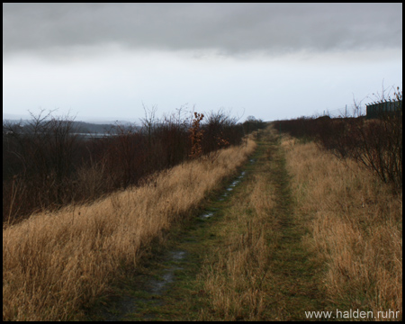 Halde Westlich der Tettenbachstraße