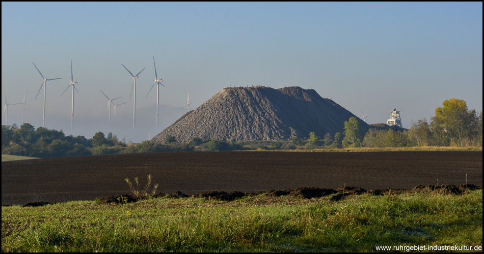 Östliche Kalihalde im Frühnebel, die Windräder gucken aus der Wolke heraus. Blick von Osten