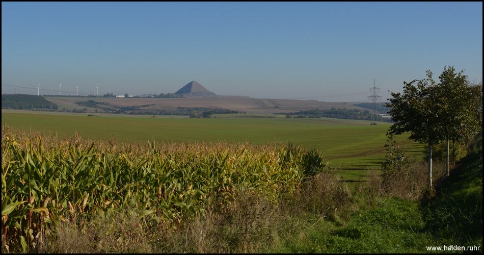 Halde am Ernst-Thälmann-Schacht oberhalb von Volkstedt gesehen – Blick aus Südwest und direkt auf die Förderstrecke