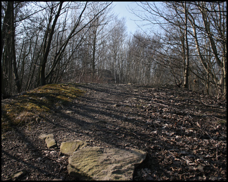 Halde Victoria (Osthalde)