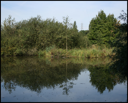 Gute Übersicht bietet der kleine Aussichts-Steg am Ufer