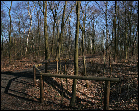 Kleiner Krater im Ostbereich der Halde Werne III