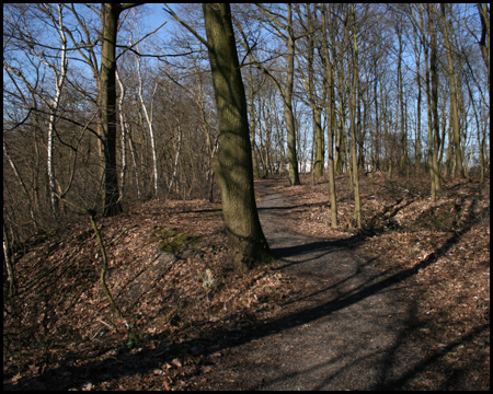 Rundweg entlang der Böschungskante