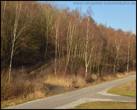 Aufstieg auf die Halde vom Radweg aus