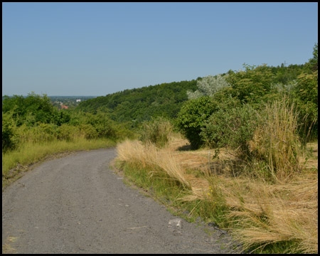 Aufstieg auf die Osthalde (Blick zurück)