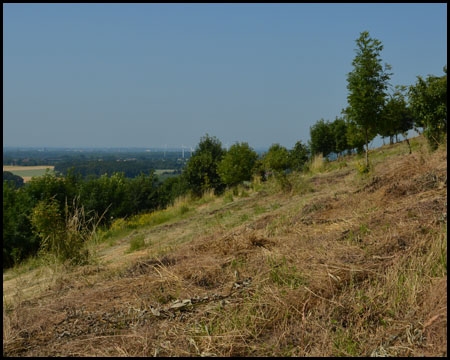 Halde Westfalen in Ahlen