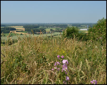 Halde Westfalen in Ahlen