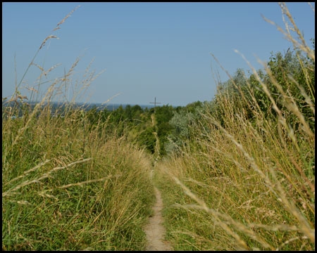 Durch das Gras führt der Pfad zum Gipfelkreuz