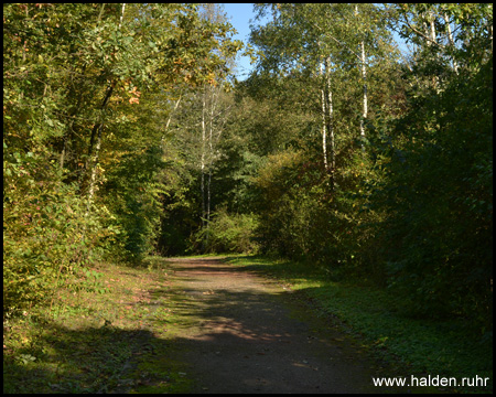 Weg auf die Halde 19 in Gladbeck