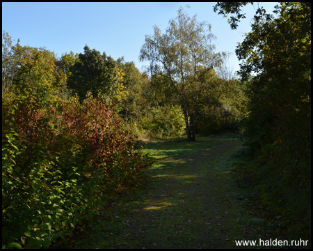 Wege am Fuß und rund um die Halde 19