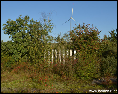 Reste des alten Vexierbildes der "Halde im Wandel" (2021)