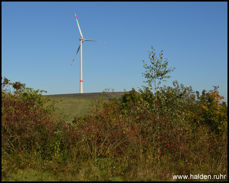 Windrad auf der Halde Mottbruch – direkt nebenan