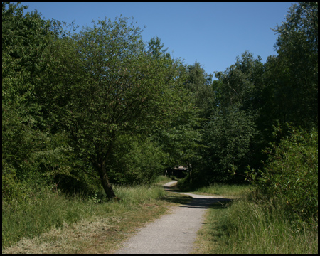 Freigeschnittene und gepflegte Wege am Fuße der Halde 7