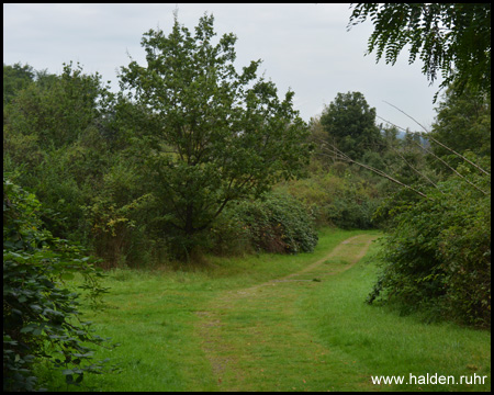 Am Gipfel der Halde 