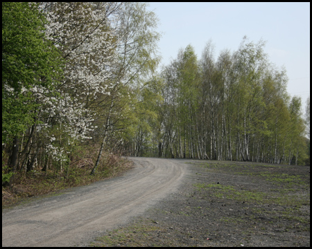 Halde Zollverein