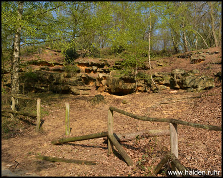 Besondere Quarzit-Steine und spärliche Vegetation