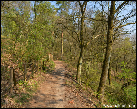 Schöner Waldweg am Hang und Naturschutzgebiet entlang