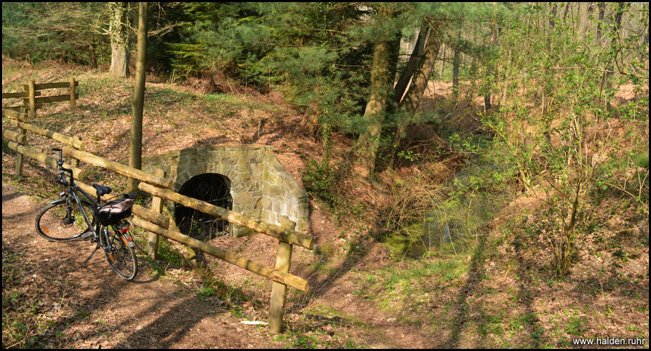 Stollenmund der Zeche und Feuchtgebiet im Wald, direkt am Wegesrand gelegen