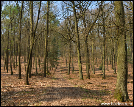 Reitweg am nördlichsten Punkt der Tour
