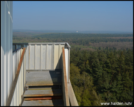 Blick über die waldreiche Haard