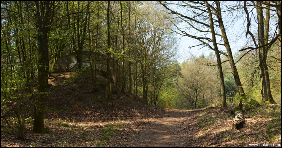 Reste der Scheinzeche Haard: Ein von Fledermäusen bewohnter Bunker mitten im Wald