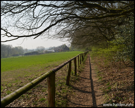 Weg zur Halde General Blumenthal