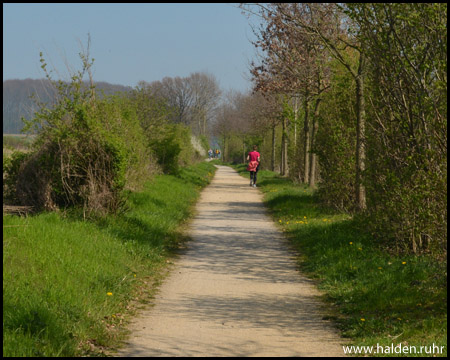 Auf der alten Zechenbahn