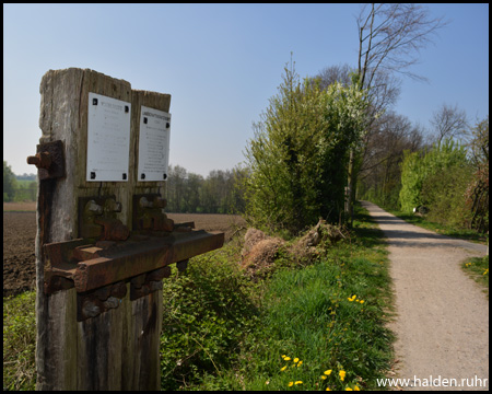 Natur- und Landschafts-Lehrpfad