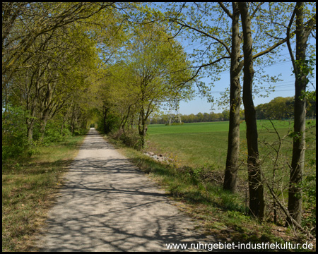 Lange gerade Strecke durch die Felder