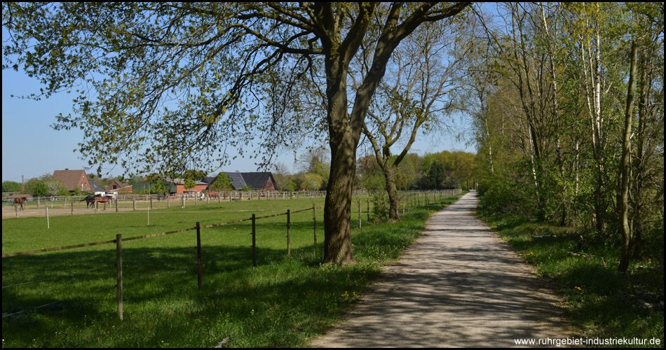 Vorbeifahrt an Bauernhöfen und Pferdeweiden