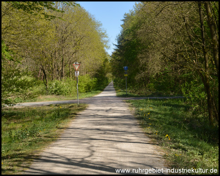 Die letzten Kilometer vor Dorsten