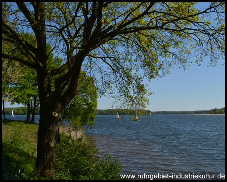 Tiefblaues Wasser und grüne Ufer: Der Halterner See