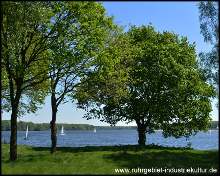 Grüner Westuferpark mit Blick zum Strandbad (hinten, verdeckt)