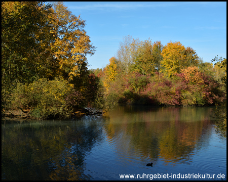 Harpener Teiche in Bochum