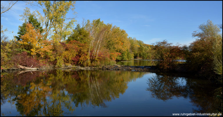 Ümminger See, Harpener Teiche und Ruhrpark in Bochum
