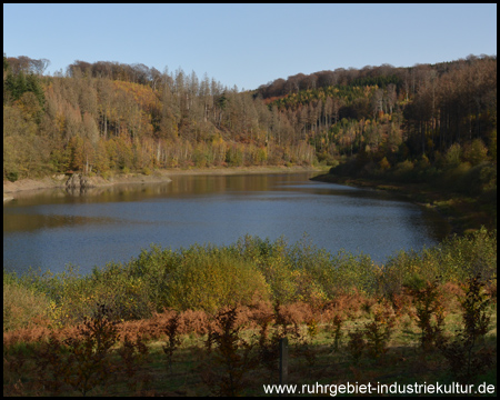 Blick vom südlichen Ufer auf den hinteren Teil des Sees