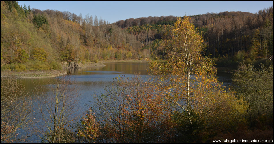 Goldener November an der Hasper Talsperre in Hagen