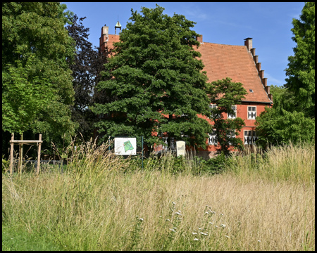 Haus Wenge im Park