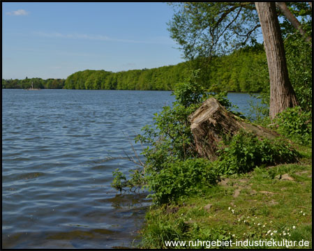 Hengsener See an der Ruhr in Holzwickede