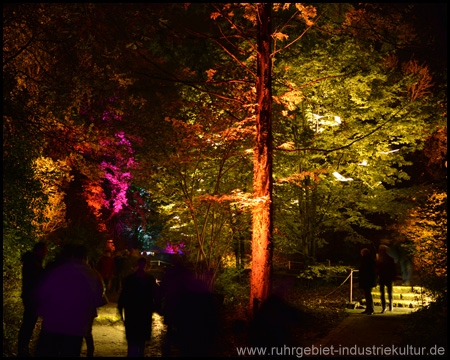 Indian Summer: Bunte Bäume im "Herbstleuchten"