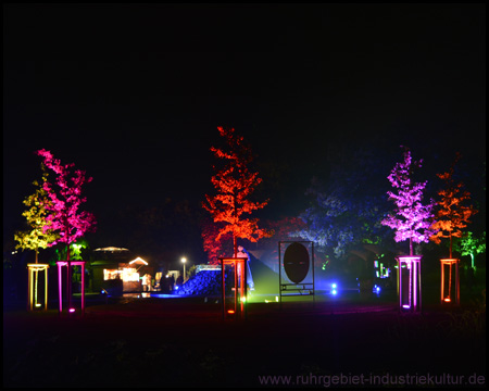 Herbstleuchten im Maximilianpark Hamm