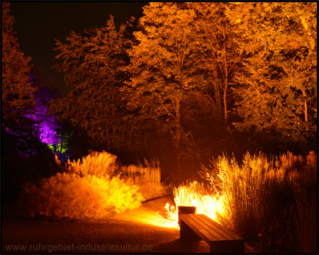 Rastplatz im goldenen Licht