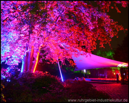 Herbstleuchten im Maximilianpark Hamm