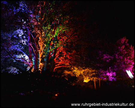 Herbstleuchten im Maximilianpark Hamm