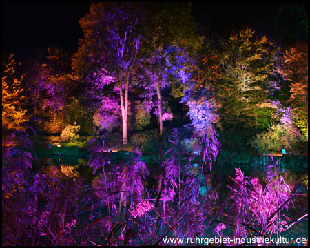 Herbstleuchten im Maximilianpark Hamm