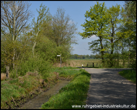 Straße im Naturschutzgebiet – aber ohne Autos