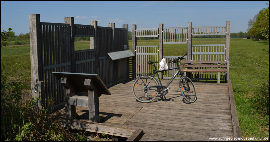 Aussichtsplattform am Ende des Schilfsteges mit Rastbank und Informationstafeln