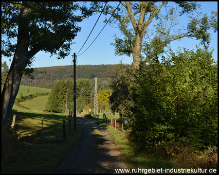 Abstieg von Herzkamp ins Felderbachtal