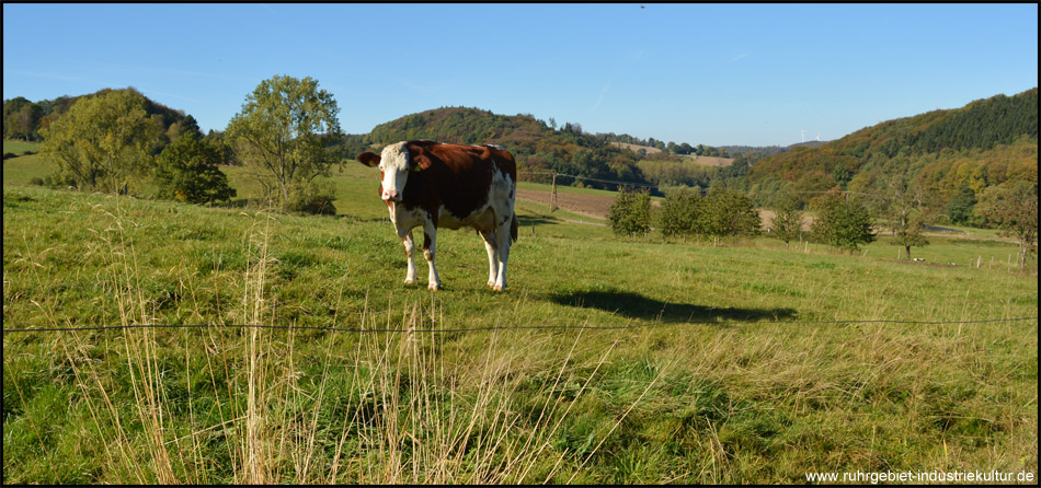 Hügelige Landschaft und Felderbachtal mit Blick Richtung Westen