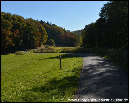 Idyllischer Nebenweg am Felderbach